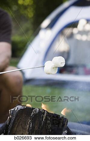 roasting marshmallows View Large Photo Image Stock Image - roasting marshmallows. Fotosearch