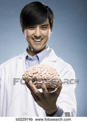 scientist holding a brain View Large Photo Image Stock Image - scientist holding a brain. Fotosearch