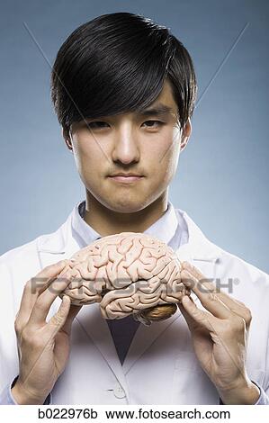 scientist holding a brain View Large Photo Image Stock Image - scientist holding a brain. Fotosearch