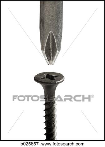 screwdriver about to screw in a wood screw View Large Photo Image Stock Photo - screwdriver about to screw in a wood screw. Fotosearch