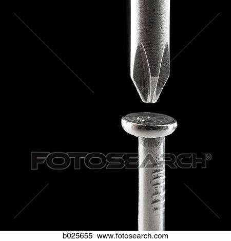 screwdriver trying to screw in a nail View Large Photo Image Stock Photography - screwdriver trying to screw in a nail. Fotosearch