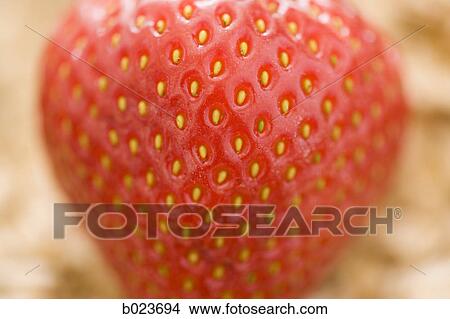 Picture - strawberry and oats. Fotosearch
