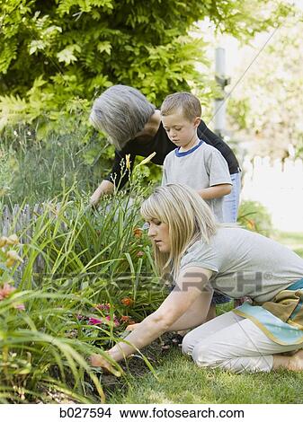 three generation family in the garden View Large Photo Image Picture - three generation family in the garden. Fotosearch