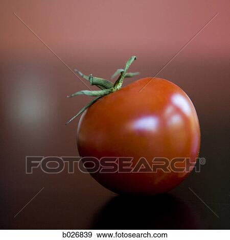 tomato View Large Photo Image Stock Photo - tomato. Fotosearch