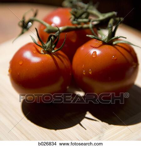 tomatoes View Large Photo Image Picture - tomatoes. Fotosearch