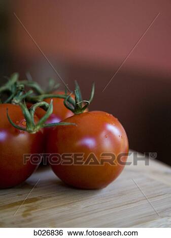 tomatoes View Large Photo Image Stock Photograph - tomatoes. Fotosearch