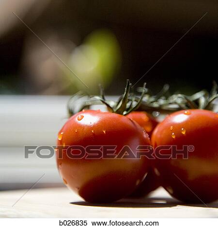 tomatoes View Large Photo Image Stock Photography - tomatoes. Fotosearch