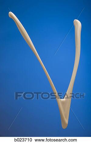 wishbone View Large Photo Image Stock Image - wishbone. Fotosearch