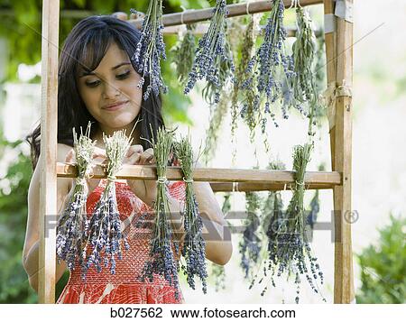 woman drying flowers on a wooden drying rack View Large Photo Image Stock Image - woman drying flowers on a wooden drying rack. Fotosearch