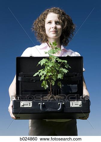 woman holding a briefcase with a tree in it View Large Photo Image Stock Image - woman holding a briefcase with a tree in it. Fotosearch