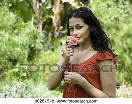 woman holding a flower View Large Photo Image Stock Image - woman holding a flower. Fotosearch