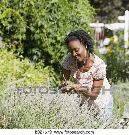 woman in the backyard listening to a digital music player View Large Photo Image Stock Photo - woman in the backyard listening to a digital music player. Fotosearch