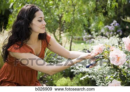 woman in the garden View Large Photo Image Stock Photo - woman in the garden. Fotosearch