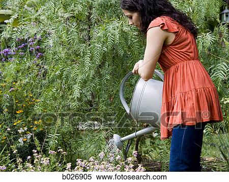 woman in the garden View Large Photo Image Stock Photography - woman in the garden. Fotosearch