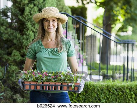 woman planting flowers in her garden View Large Photo Image Picture - woman planting flowers in her garden. Fotosearch
