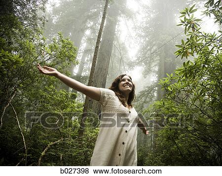 Stock Photo - woman walking through a forest of giant redwoods. Fotosearch