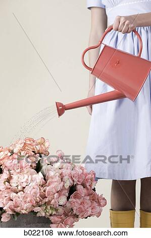 woman with a watering can View Large Photo Image Stock Photo - woman with a watering can. Fotosearch