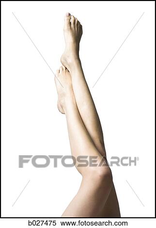 woman's legs View Large Photo Image Stock Photography - woman's legs. Fotosearch