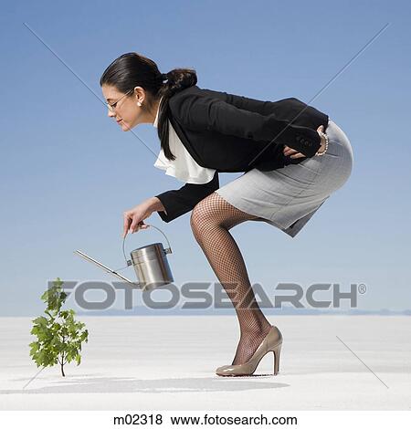 businesswoman watering a sapling in the desert View Large Photo Image Stock Photo - businesswoman watering a sapling in the desert. Fotosearch