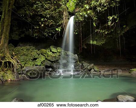 Dominica, Emerald Falls, Small waterfall at forest pool View Large Photo Image Stock Photography - Dominica, Emerald Falls, Small waterfall at forest pool. Fotosearch