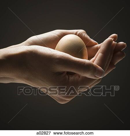 Egg in young woman's hands View Large Photo Image Stock Photo - Egg in young woman's hands. Fotosearch