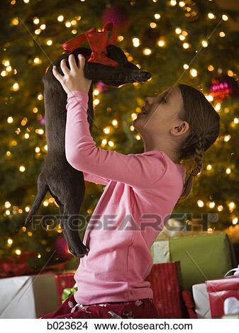 Picture - girl getting a puppy for christmas. Fotosearch