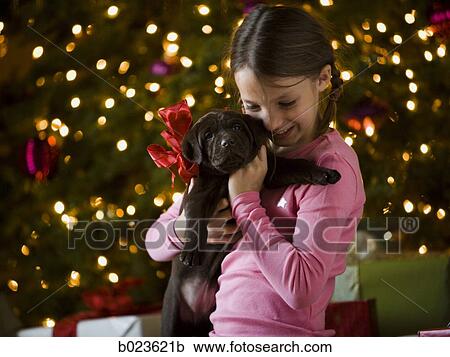 girl getting a puppy for christmas View Large Photo Image Stock Image - girl getting a puppy for christmas. Fotosearch
