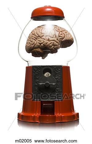 human brain in a gumball machine View Large Photo Image Stock Photography - human brain in a gumball machine. Fotosearch