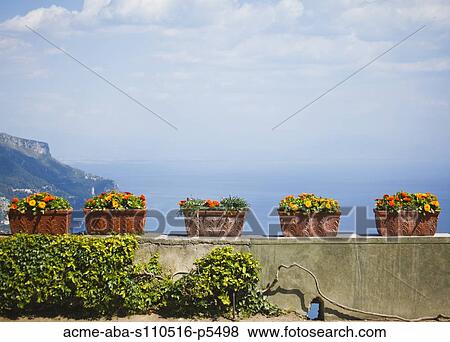 Italy, Amalfi Coast, Ravello, Potter flowers on wall View Large Photo Image Stock Photo - Italy, Amalfi Coast, Ravello, Potter flowers on wall. Fotosearch