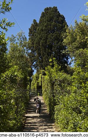 Stock Image - Italy, Florence, Romantic couple kissing among trees. Fotosearch