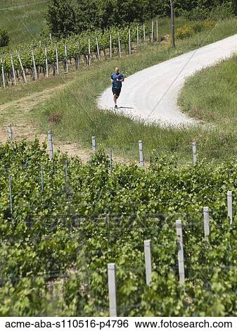 Stock Photograph - Italy, Man jogging past vineyard. Fotosearch