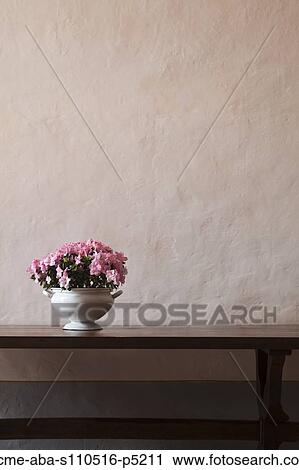 Italy, Tuscany, Pink flowers in vase on table View Large Photo Image Stock Image - Italy, Tuscany, Pink flowers in vase on table. Fotosearch