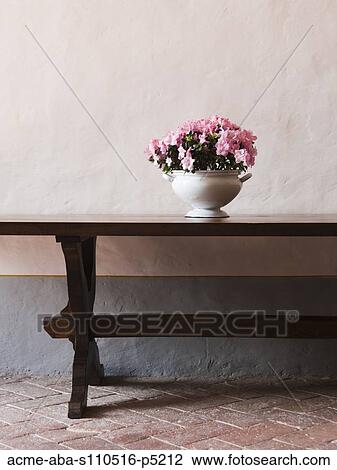 Italy, Tuscany, Pink flowers in vase on table View Large Photo Image Stock Image - Italy, Tuscany, Pink flowers in vase on table. Fotosearch