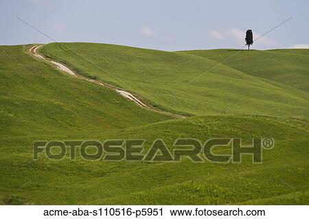 Italy, Tuscany, Val D'Orcia, Landscape View Large Photo Image Stock Image - Italy, Tuscany, Val D'Orcia, Landscape. Fotosearch