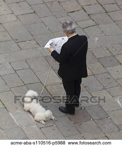 Italy, Venice, Man with white poodle reading newspaper outdoors View Large Photo Image Stock Photo - Italy, Venice, Man with white poodle reading newspaper outdoors. Fotosearch