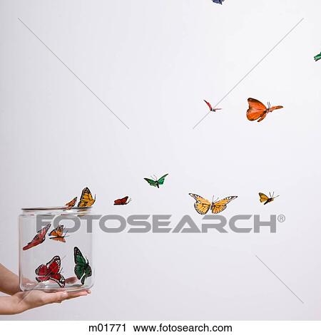 jar of butterflies View Large Photo Image Stock Image - jar of butterflies. Fotosearch