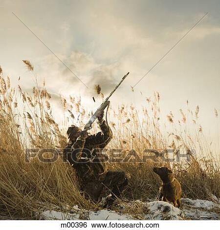 man and his dog duck hunting View Large Photo Image Stock Photograph - man and his dog duck hunting. Fotosearch