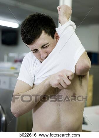 man putting on a shrunken t-shirt View Large Photo Image Stock Photograph - man putting on a shrunken t-shirt. Fotosearch
