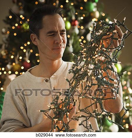man untangling christmas tree lights View Large Photo Image Picture - man untangling christmas tree lights. Fotosearch