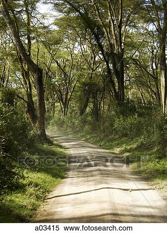 Rural road in Kenya, Africa View Large Photo Image Stock Photography - Rural road in Kenya, Africa. Fotosearch