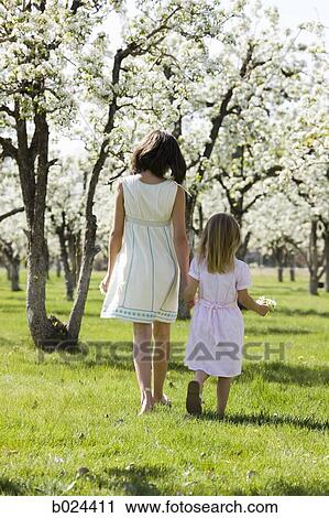 two girls in a blossoming orchard View Large Photo Image Stock Image - two girls in a blossoming orchard. Fotosearch