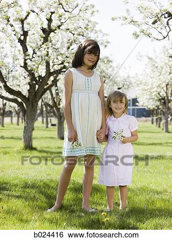 two girls in a blossoming orchard View Large Photo Image Stock Photograph - two girls in a blossoming orchard. Fotosearch