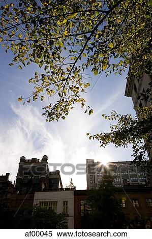 USA, New York City, Greenwich Village, Residential district View Large Photo Image Stock Photography - USA, New York City, Greenwich Village, Residential district. Fotosearch