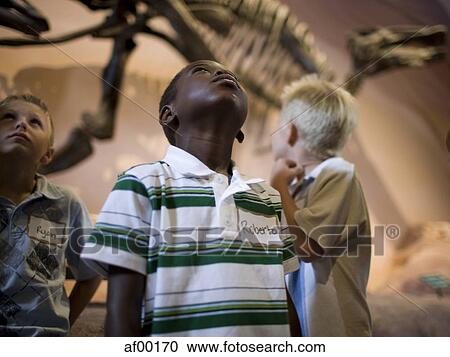 USA, Utah, Lehi, boys (6-9) in museum of dinosaurs View Large Photo Image Stock Image - USA, Utah, Lehi, boys (6-9) in museum of dinosaurs. Fotosearch