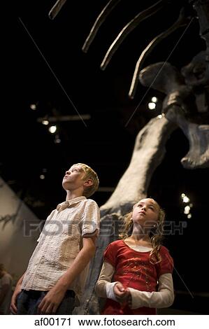 Stock Image - USA, Utah, Lehi, children (8-11) in museum of dinosaurs. Fotosearch