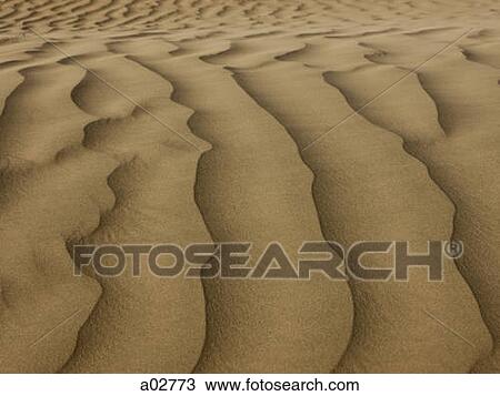 USA, Utah, Little Sahara, sand dunes, full frame View Large Photo Image Stock Image - USA, Utah, Little Sahara, sand dunes, full frame. Fotosearch