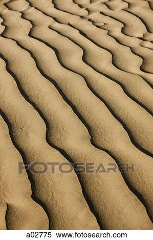USA, Utah, Little Sahara, sand dunes, full frame View Large Photo Image Stock Photography - USA, Utah, Little Sahara, sand dunes, full frame. Fotosearch