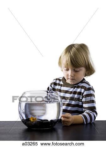 Stock Photography - USA, Utah, Provo, Boy (2-3) watching goldfish in bowl. Fotosearch