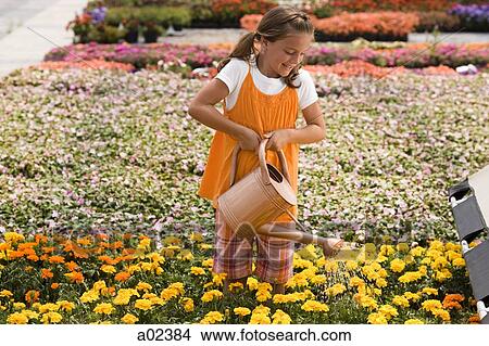 Picture - USA, Utah, Salem, girl (8-9) watering flowers. Fotosearch