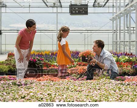 Stock Image - USA, Utah, Salem, girl (8-9) with parents choosing plants in greenhouse. Fotosearch